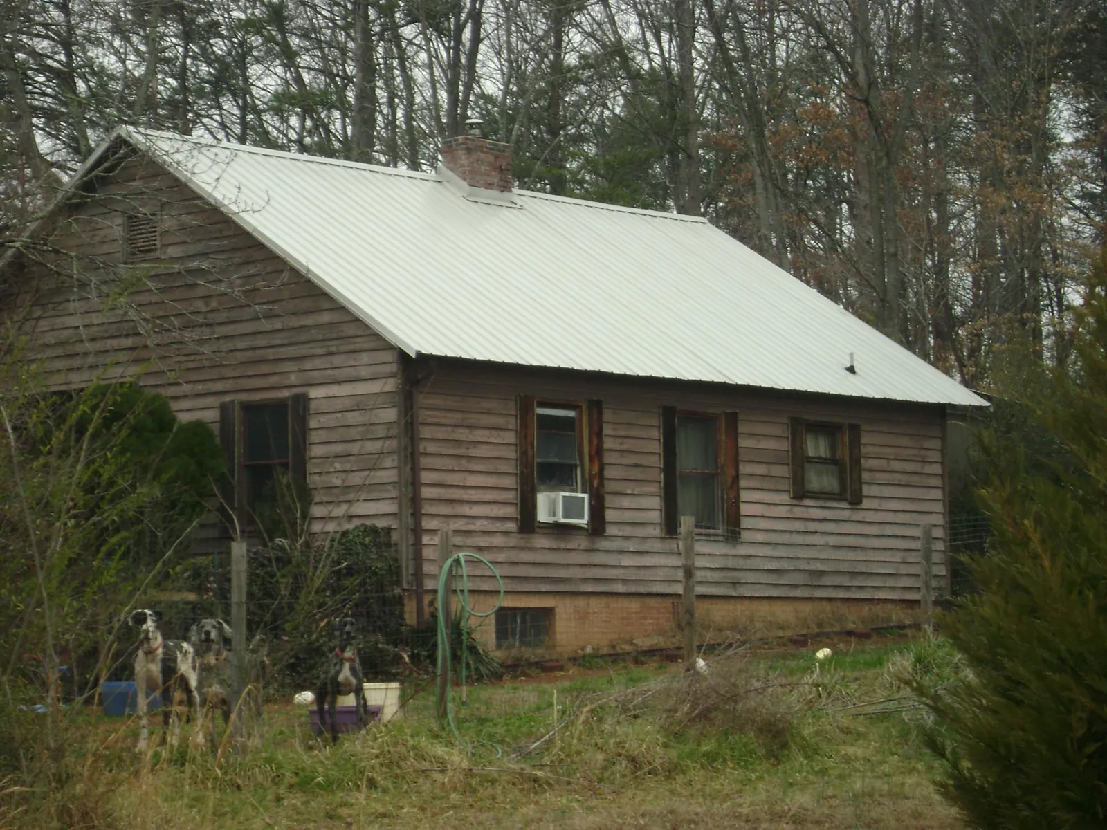 White metal roof on an old wood sided farmhouse, from a Asphalt Shingle Roof Repair job in Waubun